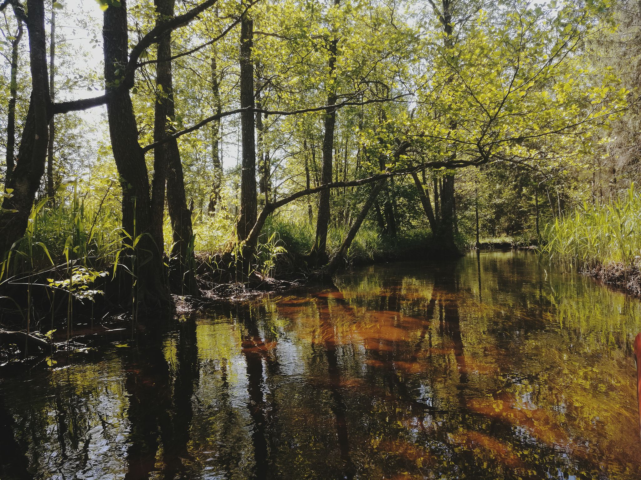 River In Ignalina