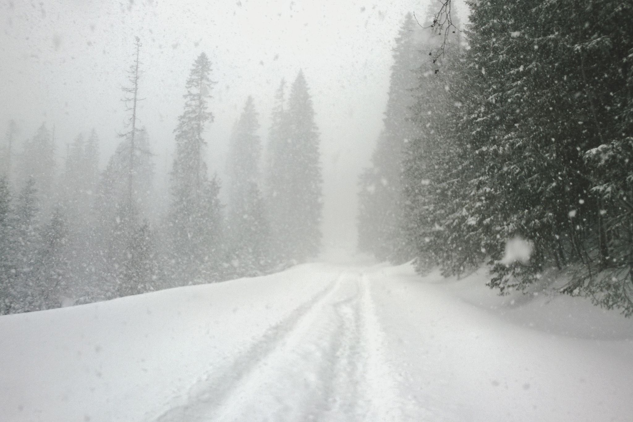 Route Towards Chalet