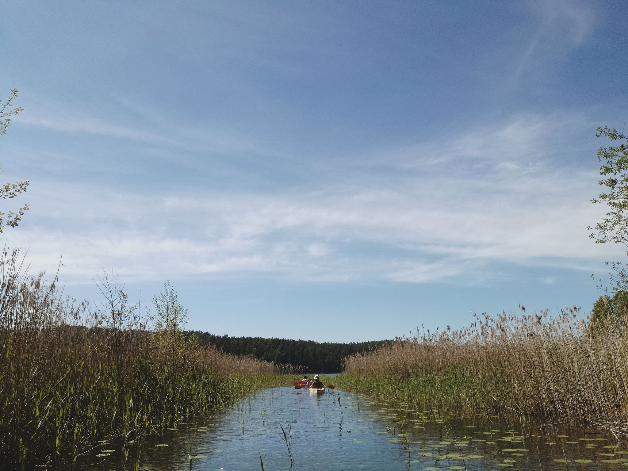 Two Kayaks