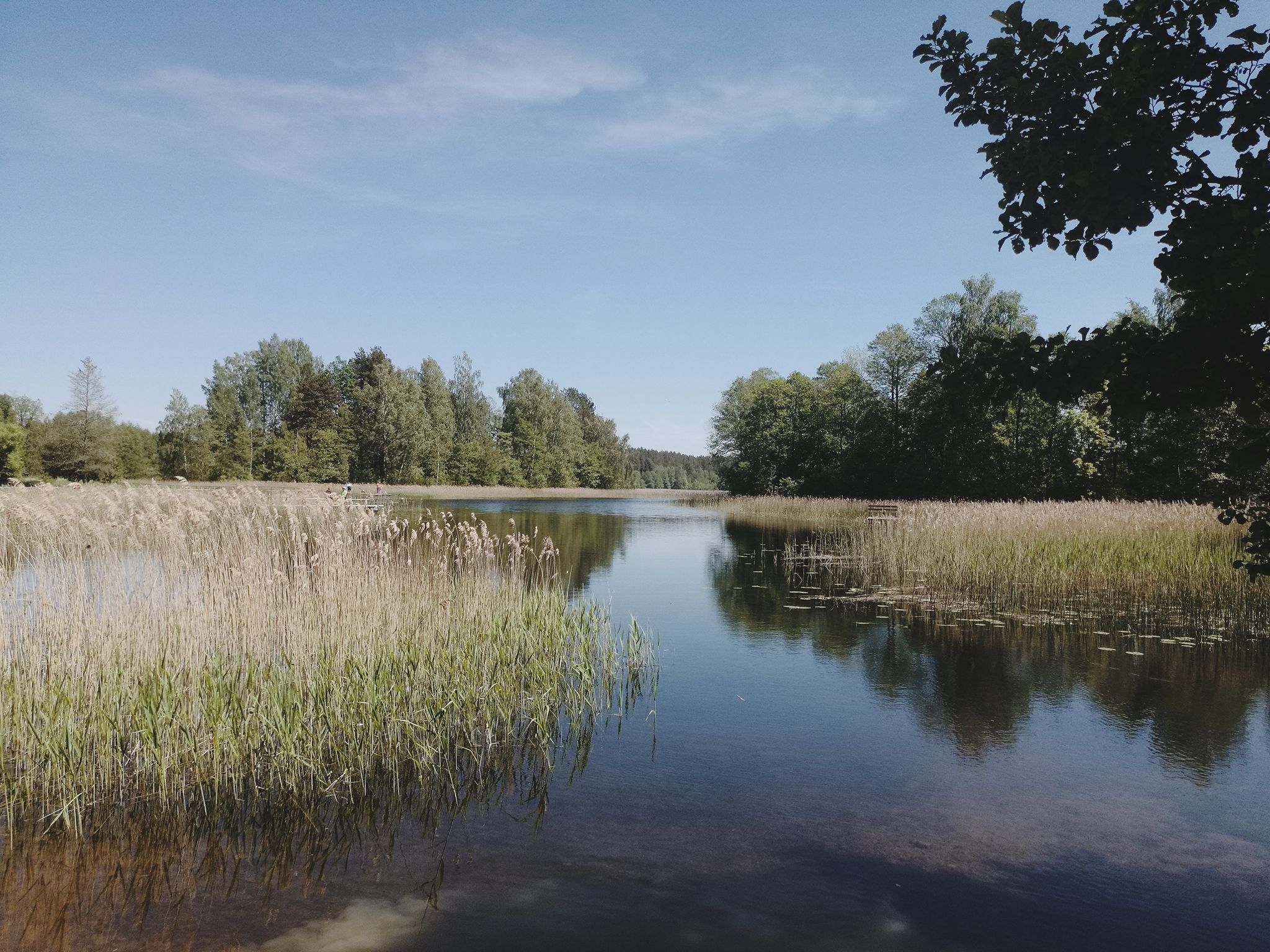 Lake