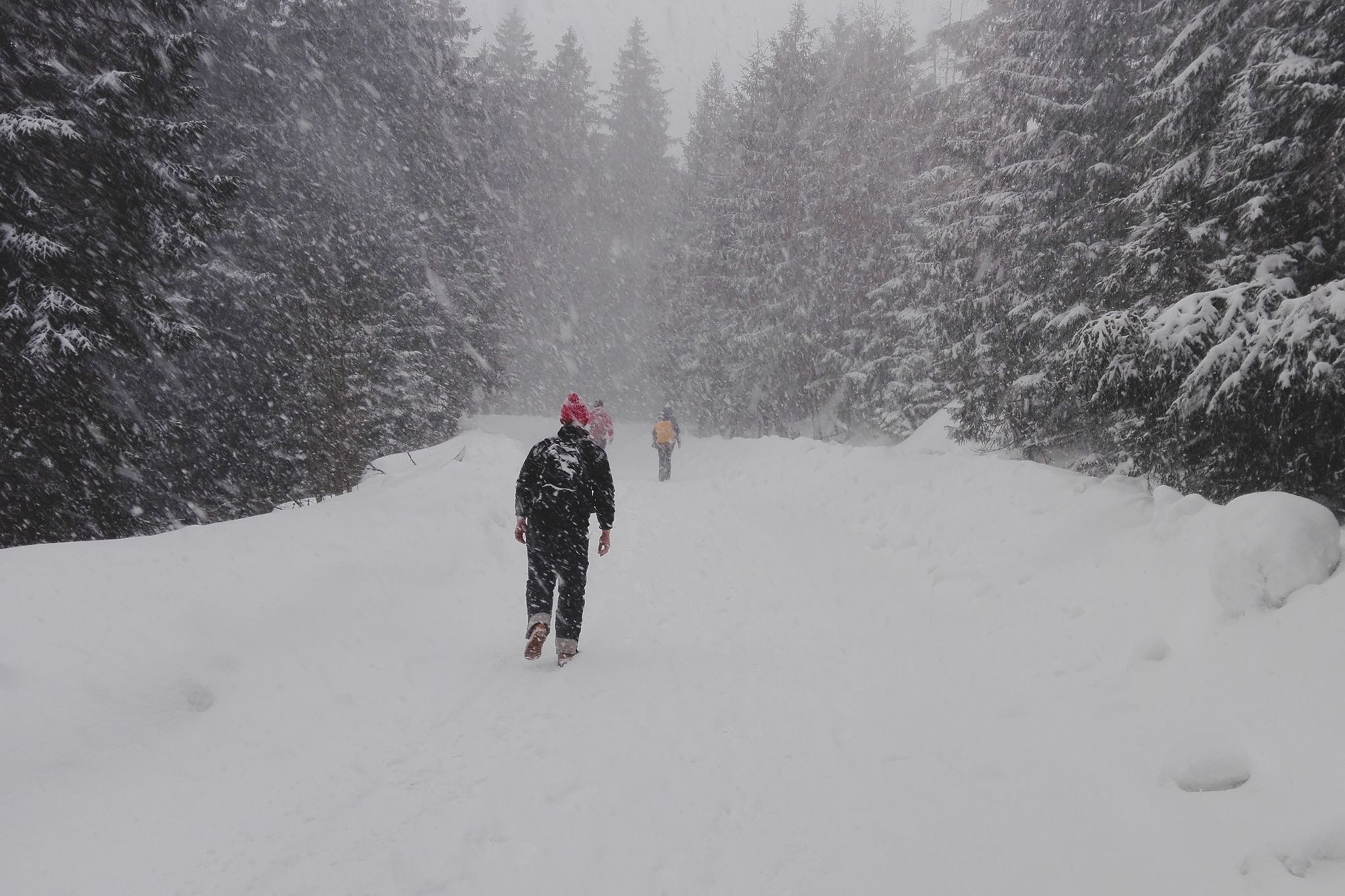 Three Hikers Going Down The Mountain