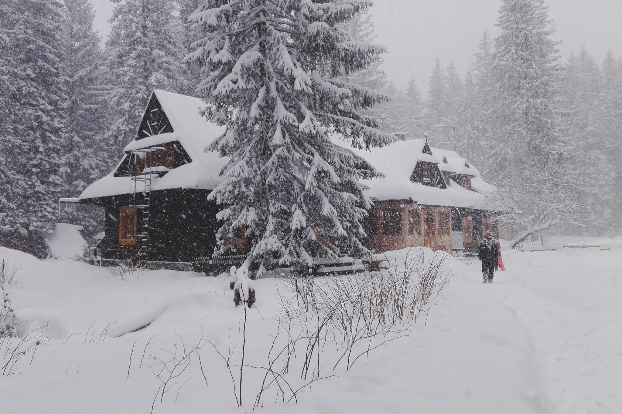Snowed In Challet