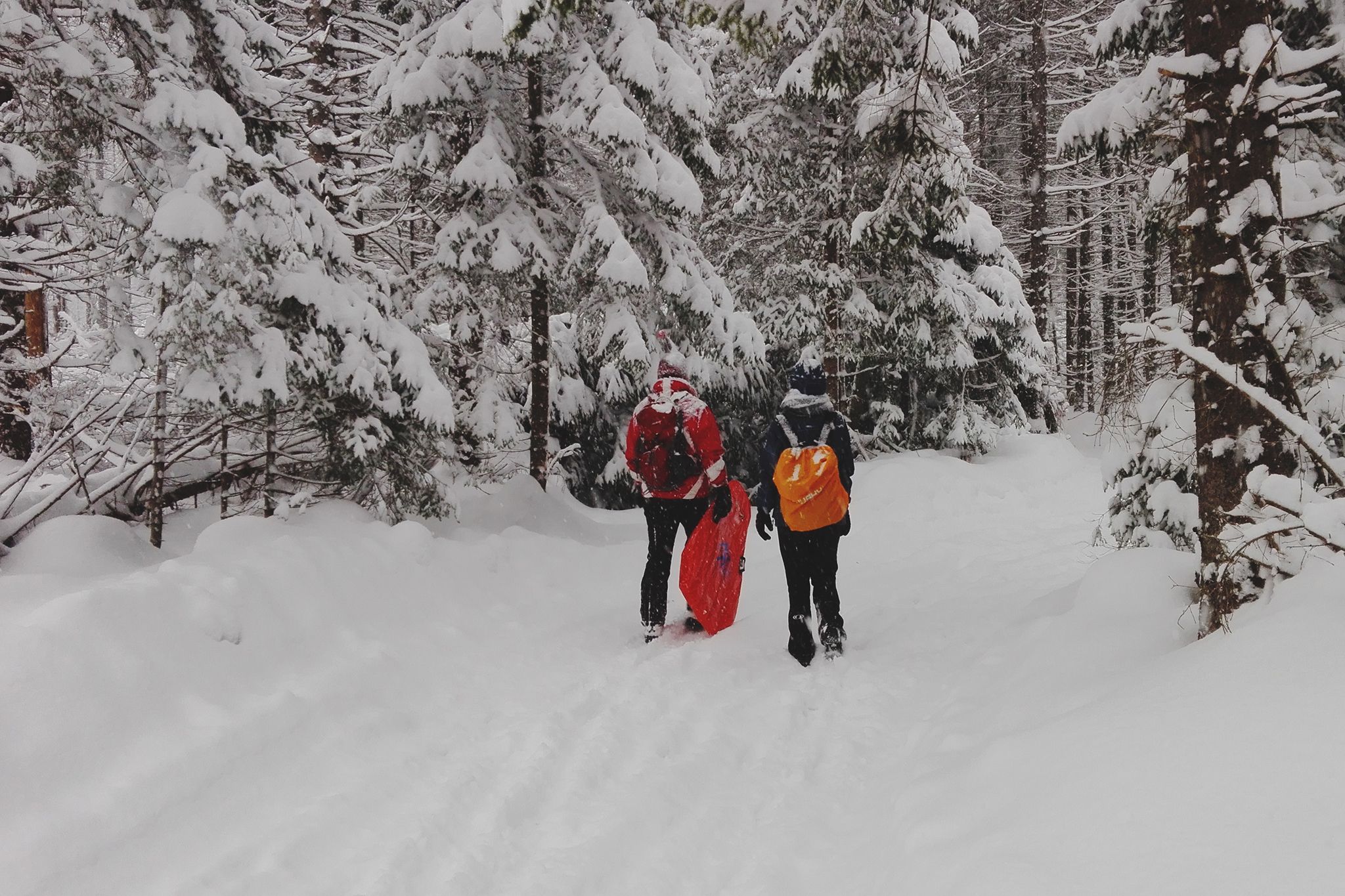 Two Hikers