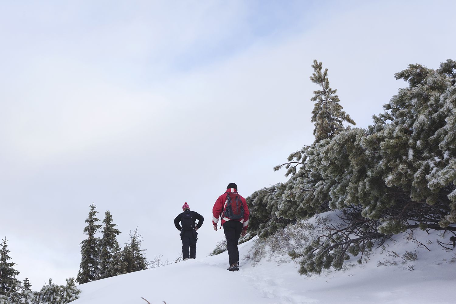 Two Hikers Climbing The Mountain