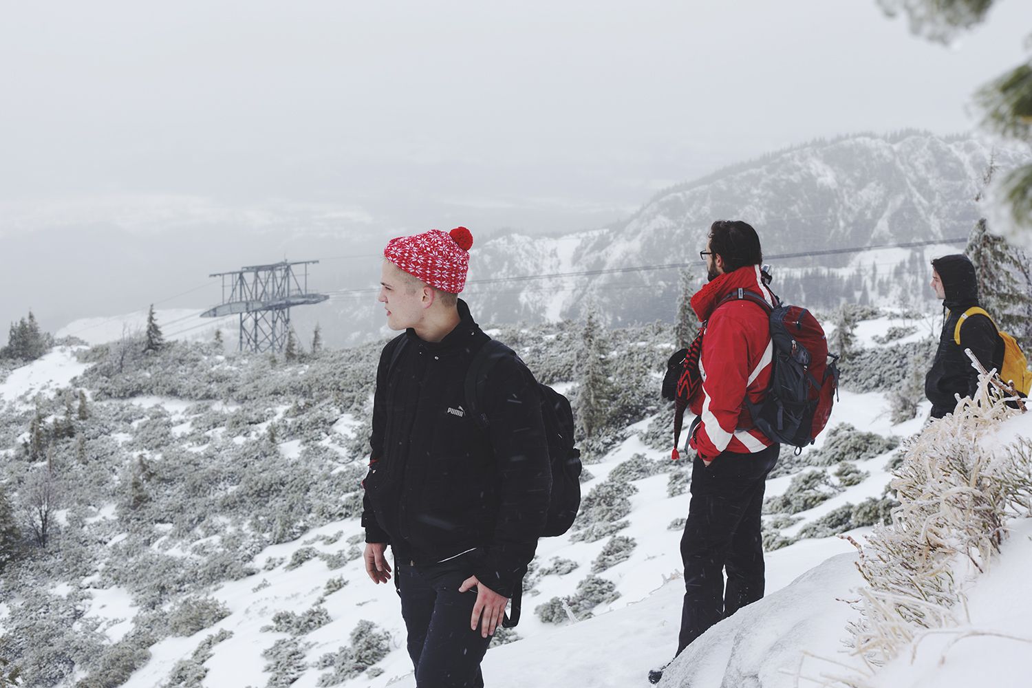Three Hikers Looking Into The Distance