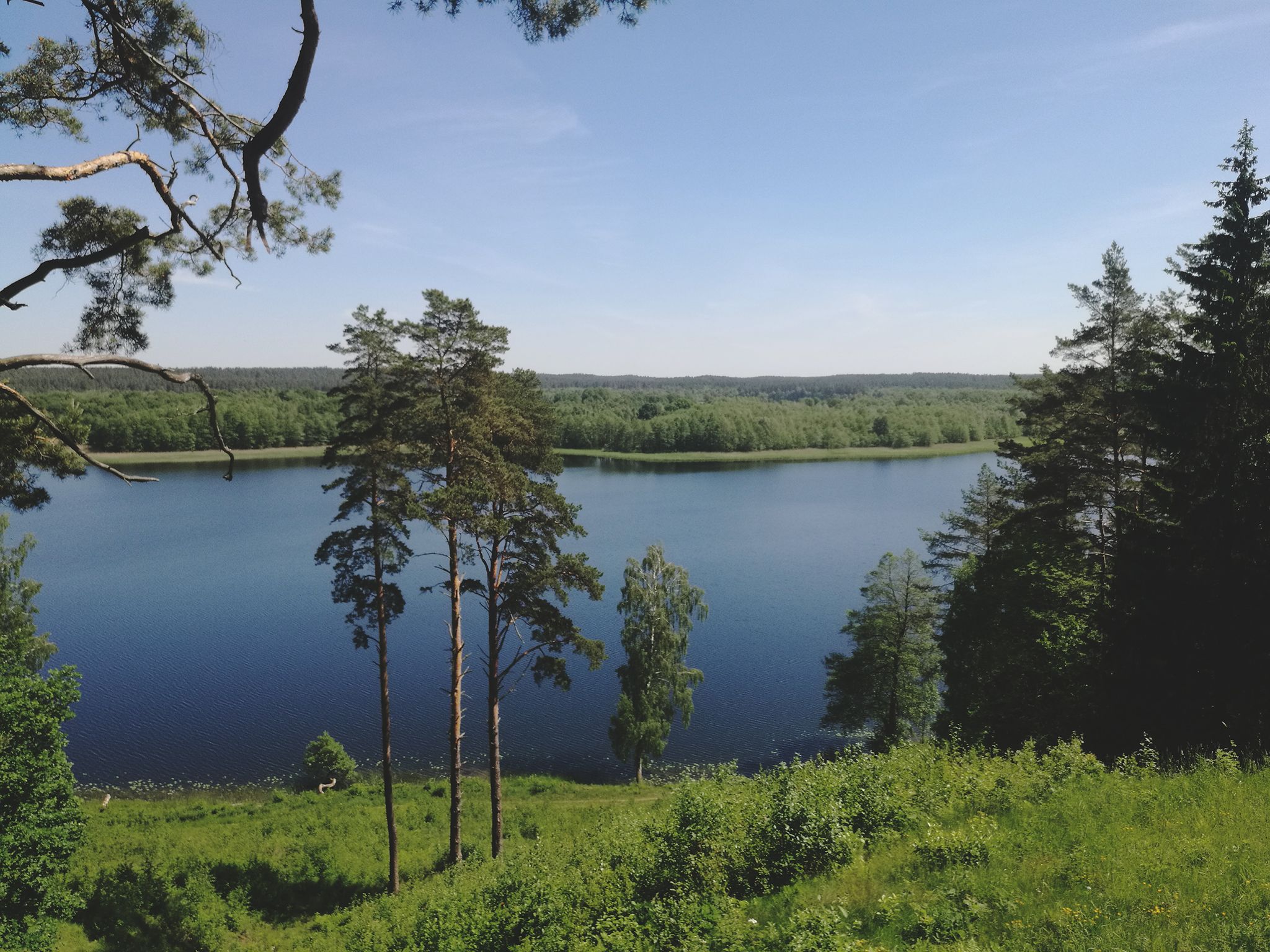 View Of The Lake