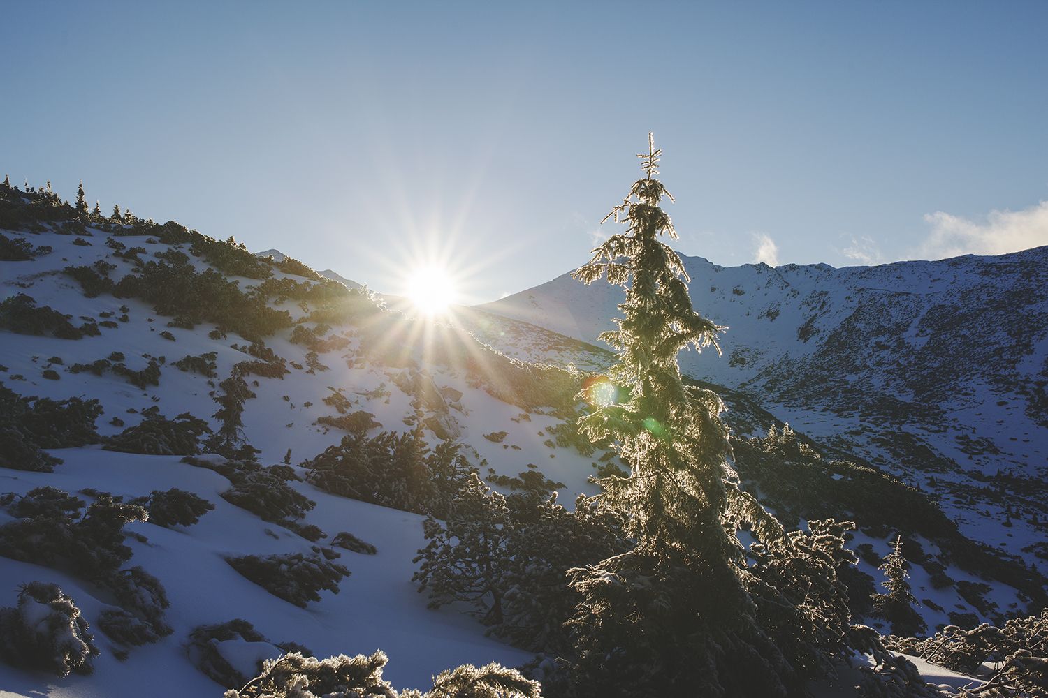 Mountain Views