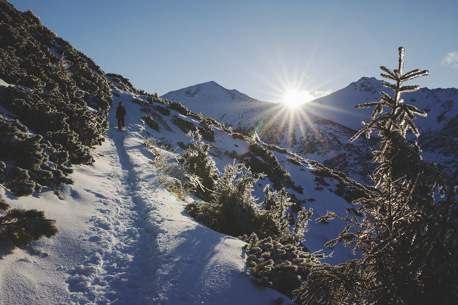 Mountain Views