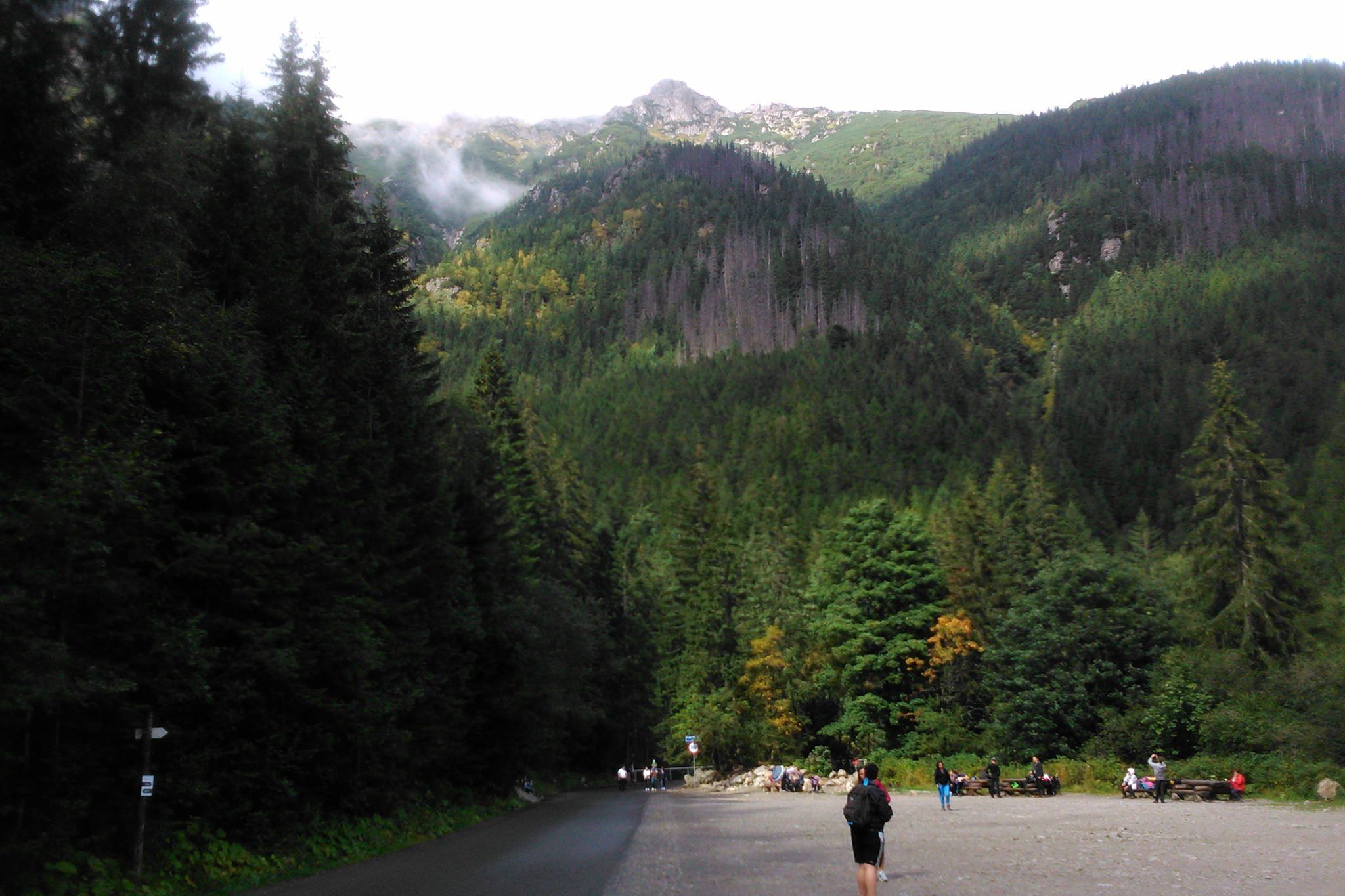 Road To The Mountain