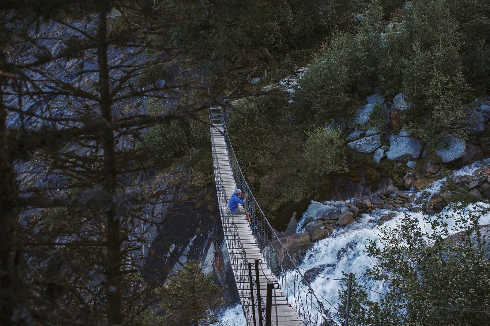 Monkey Bridge