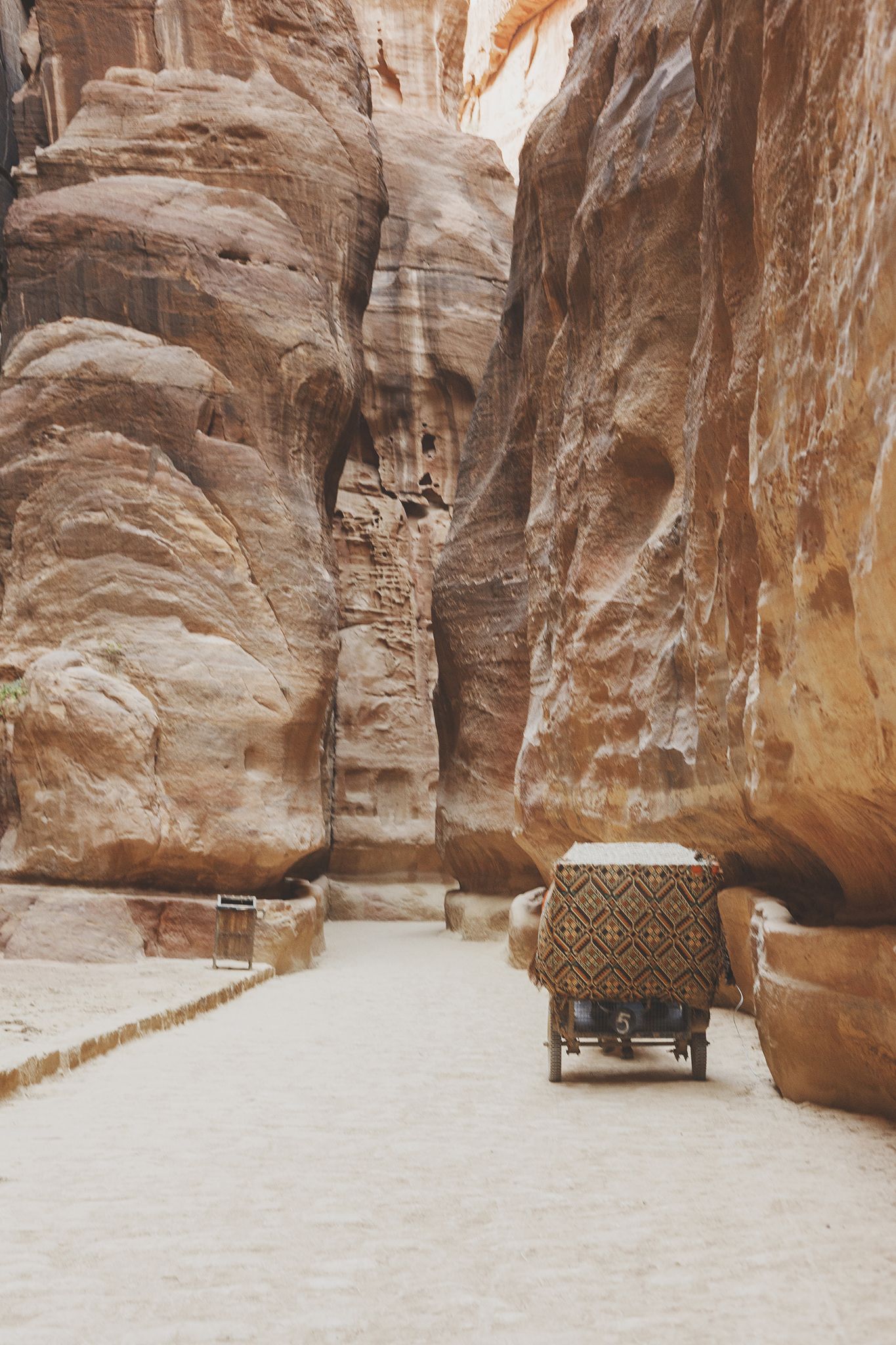 Petra Cart