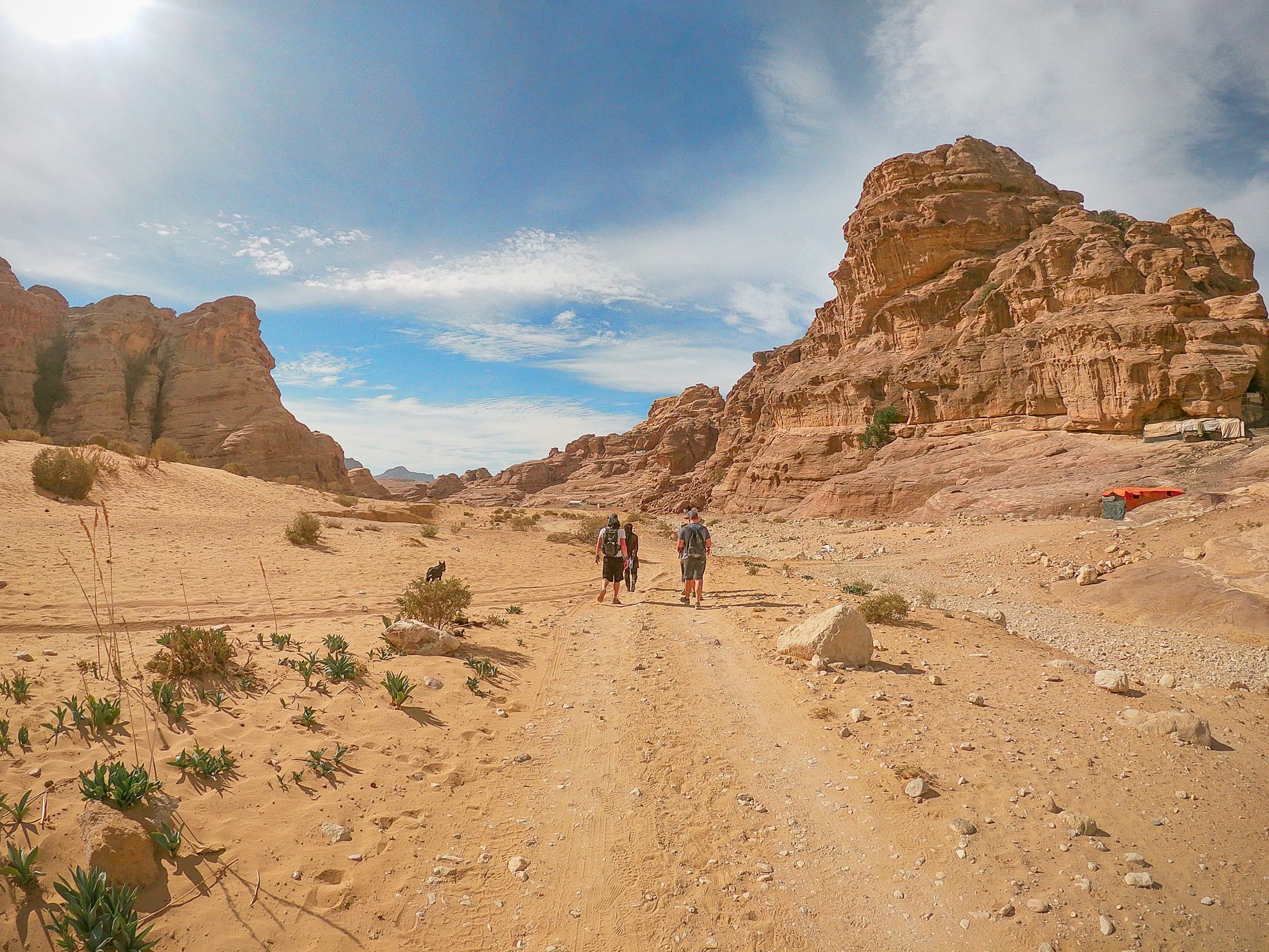 Hikers