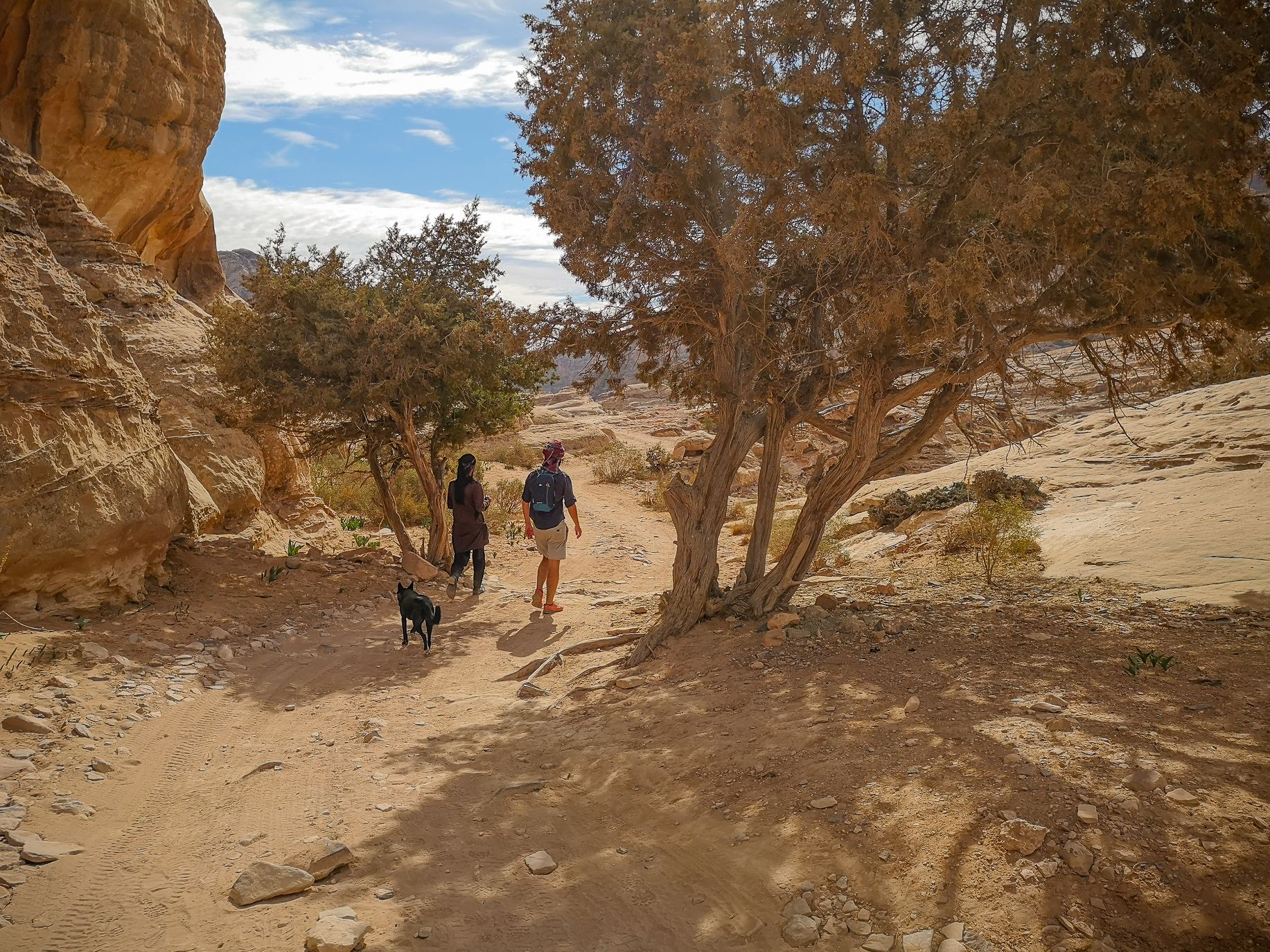 Hikers With A Dog