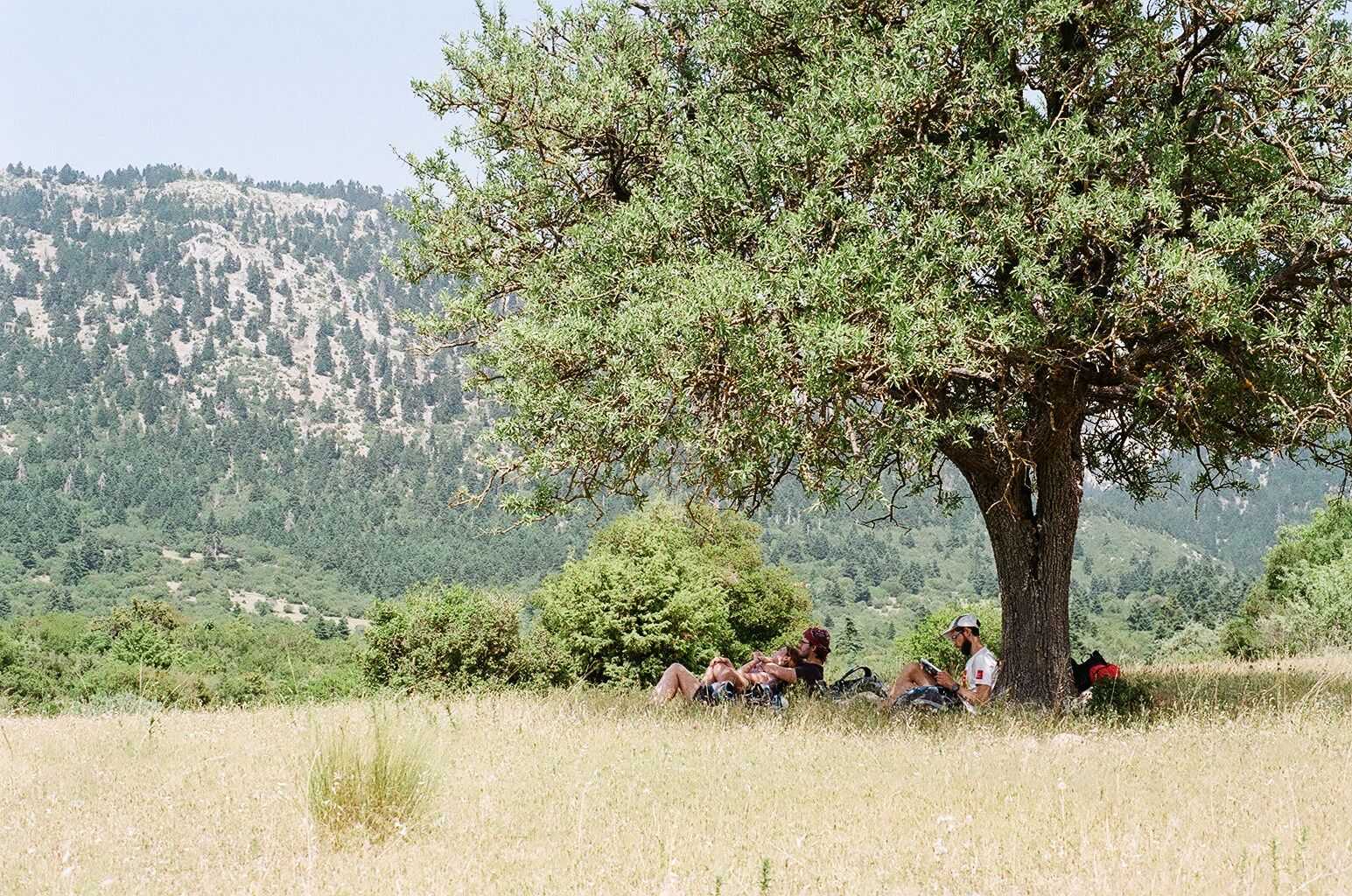 Hikers Resting Under The Tree