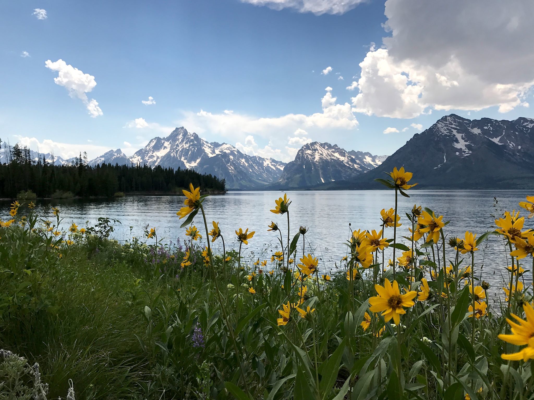 Colter Bay Lakeshore