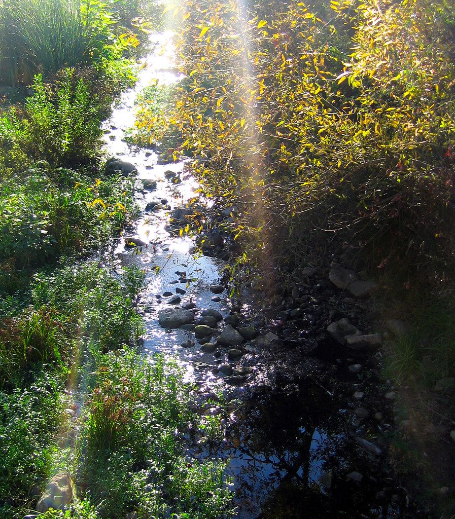 Trail To Seven Falls