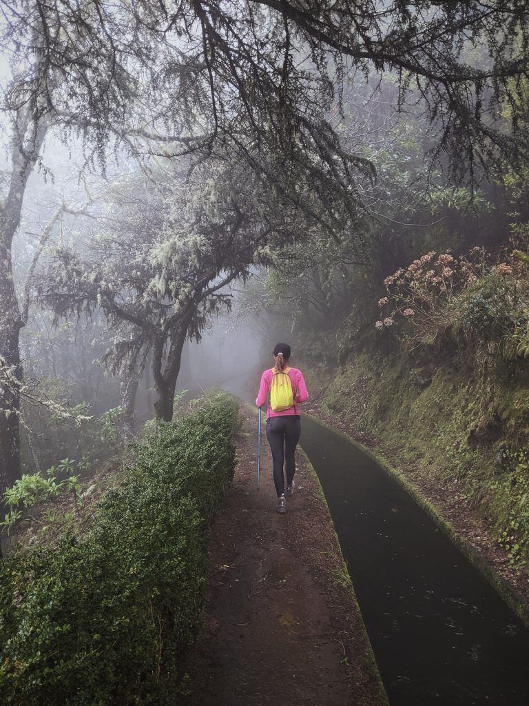 Levada Norte