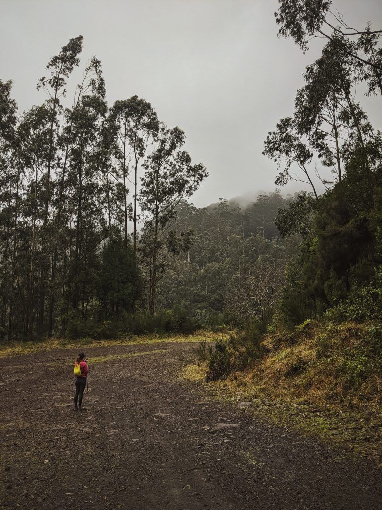 Start of the Levada Norte trail