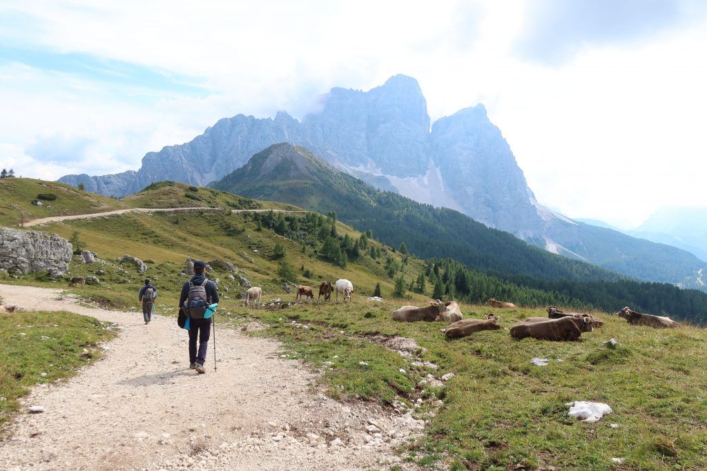 Trails from Forcella Ambrizzela - Rifugio Citta di Fiume