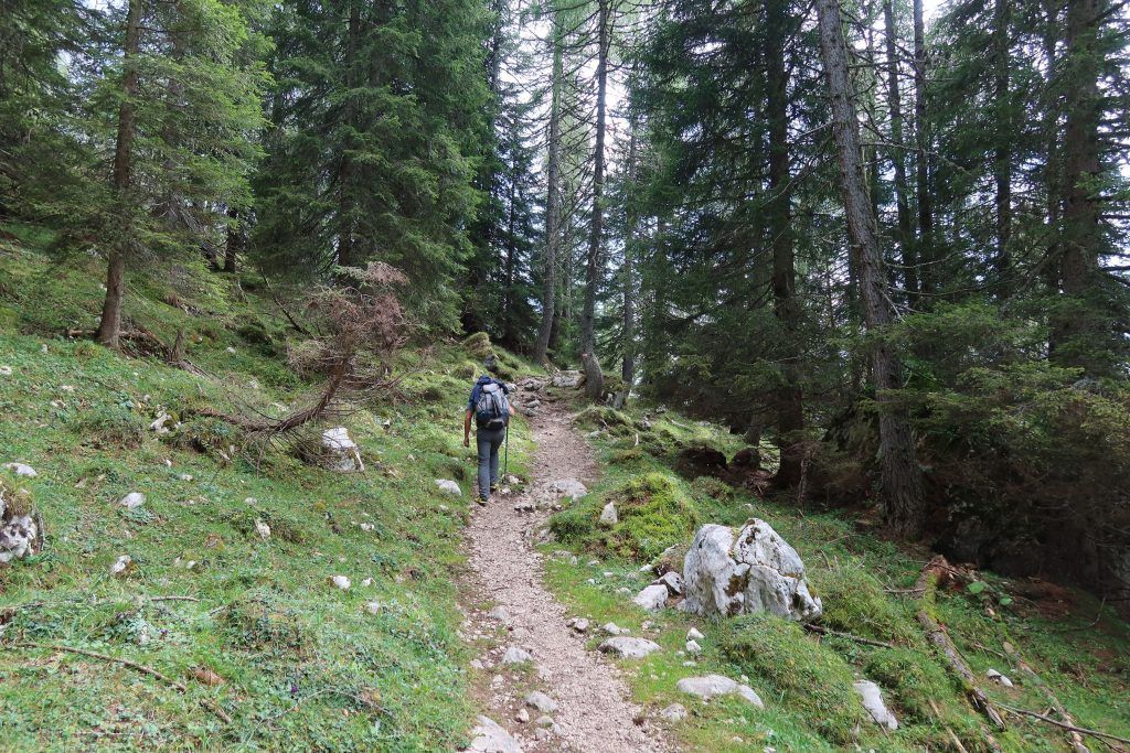 Trail from Rifugio Citta di Fiume - Pala Favera