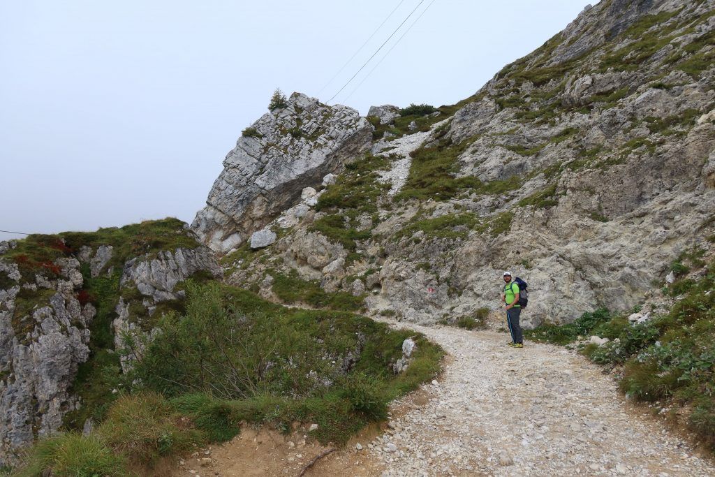 Trail to rifugio Coldai