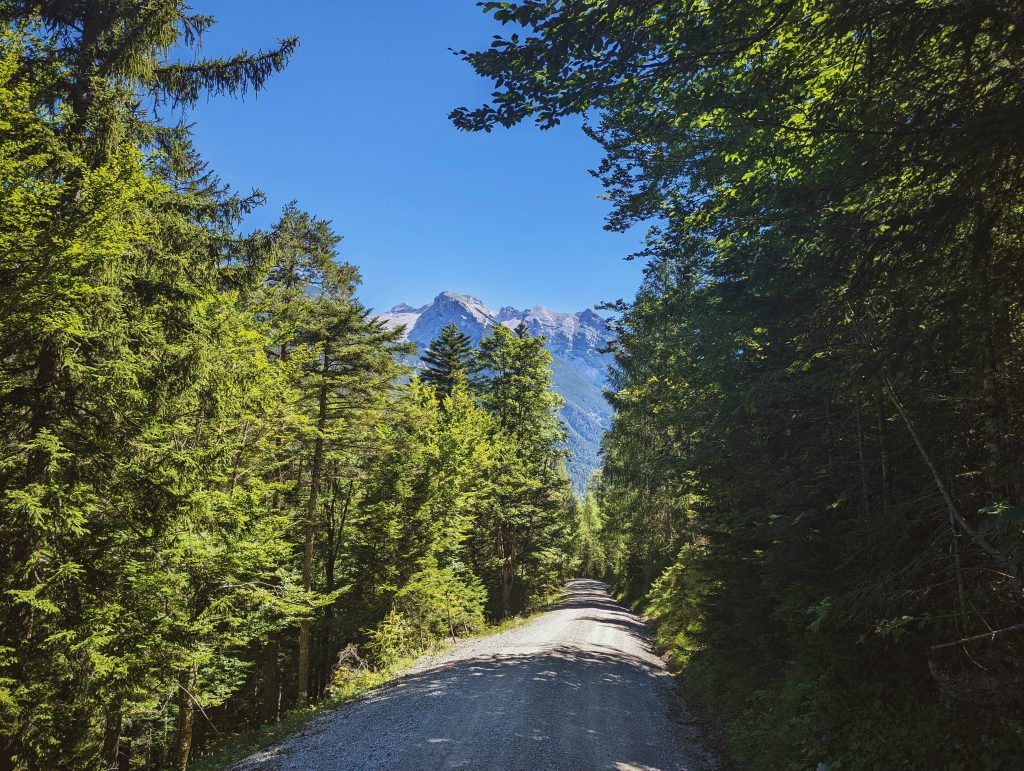 The valley trail