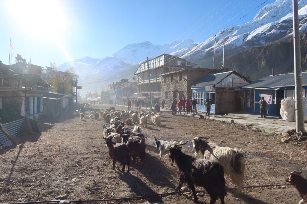 Manang Town