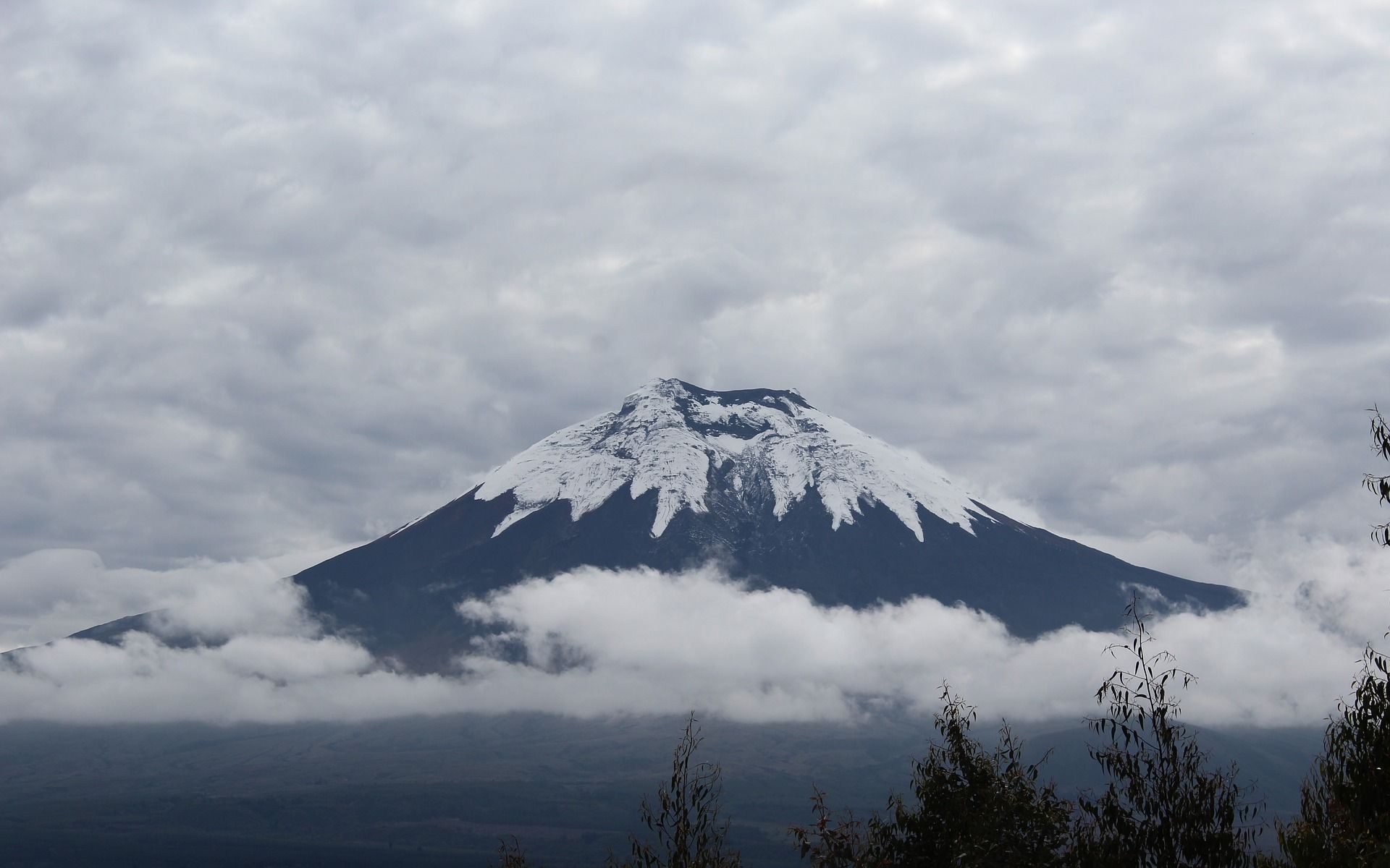 Hiking In The Shadow Of Cotopaxi Warrior (Guide) - Numi.World